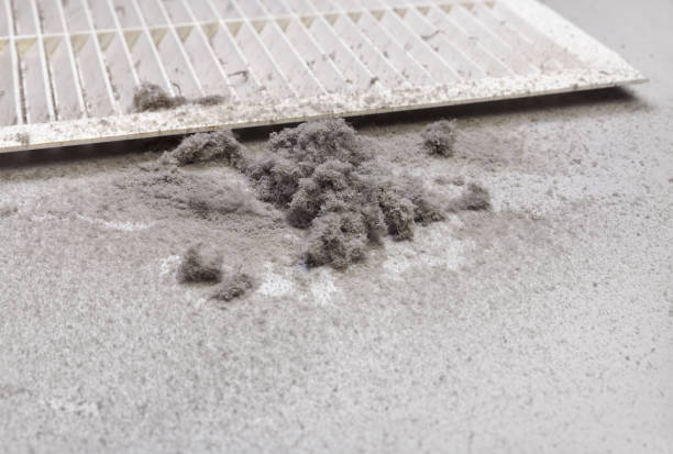 Best Local Air Duct Cleaning Services  in Redwood Valley, CA