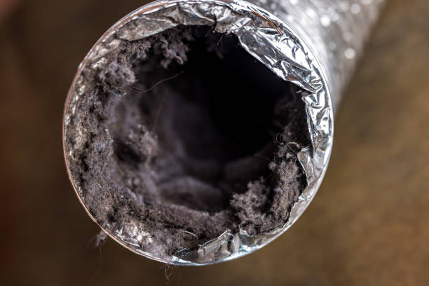 Best Affordable HVAC Duct Cleaning  in Redwood Valley, CA