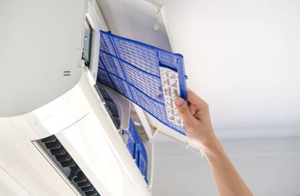Air Duct Mold Removal in Redwood Valley, CA
